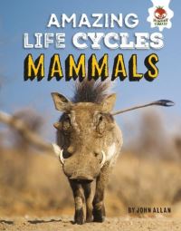 Book Cover for Mammals by John Allan