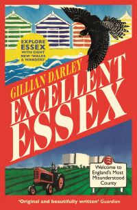 Book Cover for Excellent Essex by Gillian Darley