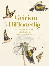 Book Cover for Geiriau Diflanedig by Robert Macfarlane