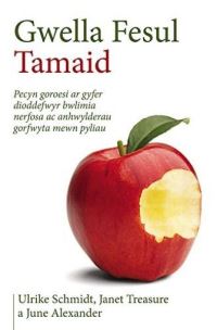 Book Cover for Gwella Fesul Tamaid by Ulrike Schmidt, Janet Treasure, June Alexander