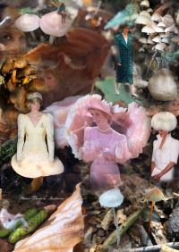Book Cover for Princess Diana as Mushrooms by Lulu Williams