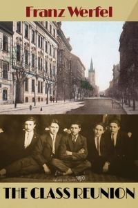 Book Cover for Class Reunion by Franz Werfel