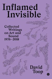 Book Cover for Inflamed Invisible by David Toop
