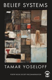 Book Cover for Belief Systems by Tamar Yoseloff