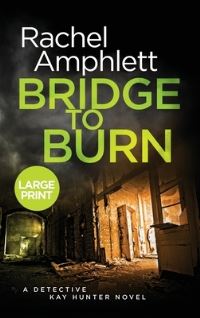 Book Cover for Bridge to Burn by Rachel Amphlett
