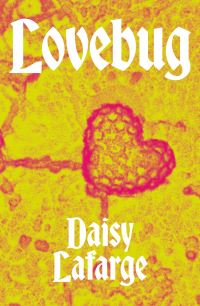 Book Cover for Lovebug by Daisy Lafarge