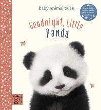 Book Cover for Goodnight, Little Panda by A J Wood