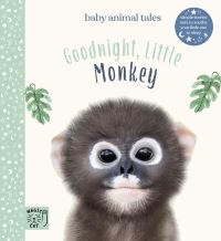 Book Cover for Goodnight, Little Monkey by A J Wood