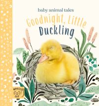 Book Cover for Goodnight, Little Duckling by A J Wood