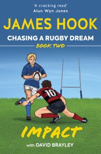 Book Cover for Impact by James Hook, David Brayley