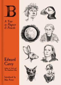 Book Cover for B by Edward Carey