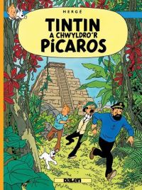 Book Cover for Tintin by Hergé