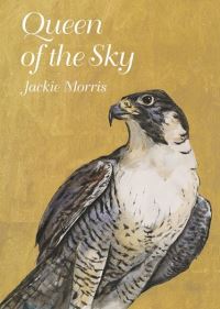 Book Cover for Queen of the Sky by Jackie Morris