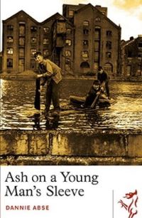 Book Cover for Ash on a Young Man's Sleeve by Dannie Abse