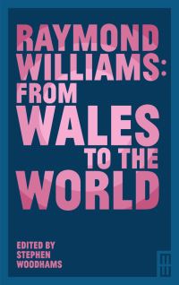 Book Cover for Raymond Williams by Stephen Woodhams