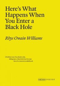 Book Cover for Here's What Happens When You Enter a Black Hole by Rhys Owain Williams