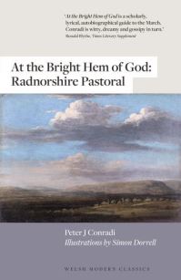 Book Cover for At the Bright Hem of God by Peter J Conradi