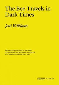 Book Cover for The Bee Travels in Dark Times by Jeni Williams