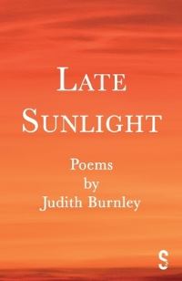 Book Cover for Late Sunlight by Judith Burnley