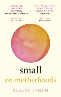 Book Cover for Small by Claire Lynch