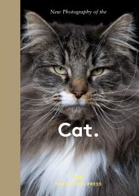 Book Cover for Cat by 