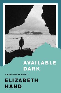 Book Cover for Available Dark by Elizabeth Hand