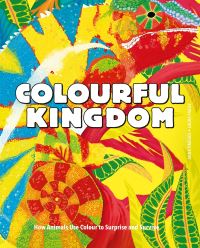 Book Cover for Colourful Kingdom by Anna Omedes