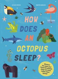 Book Cover for How Does an Octopus Sleep? by Octavio Pintos, Martin Iannuzzi