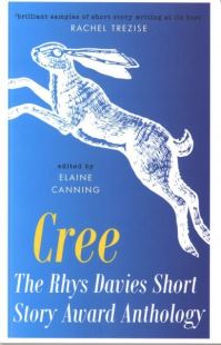 Book Cover for The Rhys Davies Short Story Anthology by Elaine Canning
