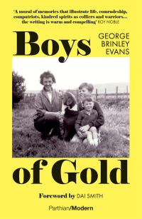 Book Cover for Boys of Gold by George Brinley Evans