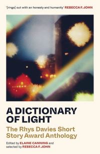 A Dictionary of Light