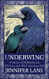Book Cover for Underwing by Jennifer Lane