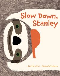 Book Cover for Slow Down, Stanley by Elena Levi