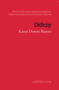 Book Cover for Didicoy by Karen DownsBarton