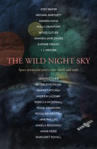Book Cover for The Wild Night Sky by Various