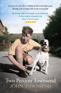 Book Cover for Two Percent Townsend by John Townsend