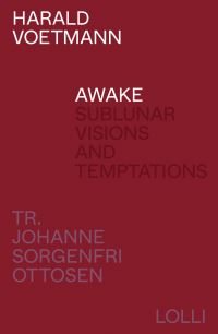 Book Cover for Awake by Harald Voetmann