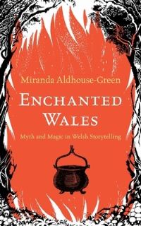 Book Cover for Enchanted Wales by Miranda J AldhouseGreen