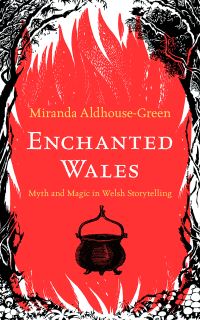 Book Cover for Enchanted Wales by Miranda J AldhouseGreen