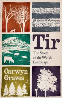Book Cover for Tir by Carwyn Graves