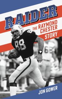 Book Cover for Raider by Jon Gower