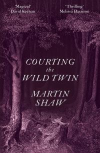 Book Cover for Courting the Wild Twin by Martin Shaw