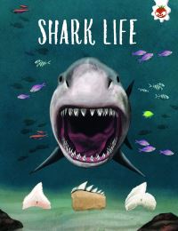 Book Cover for Shark Life by Annabel Griffin