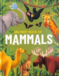 Book Cover for My First Book of Mammals by Eliza Jeffery