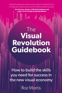 Book Cover for The Visual Revolution Guidebook by Roz Morris