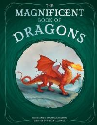 Book Cover for The Magnificent Book of Dragons by Stella Caldwell