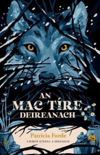 Book Cover for An Mac Tíre Deireanach by Patricia Forde