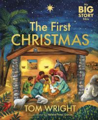 Book Cover for My Big Story Bible by Tom Wright