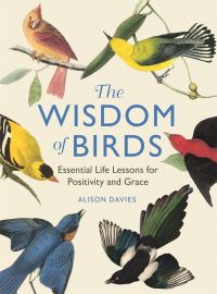 Book Cover for The Wisdom of Birds by Alison Davies