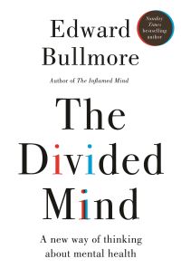 Book Cover for The Divided Mind by Edward T Bullmore